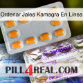 Ordenar Jalea Kamagra En Línea new12